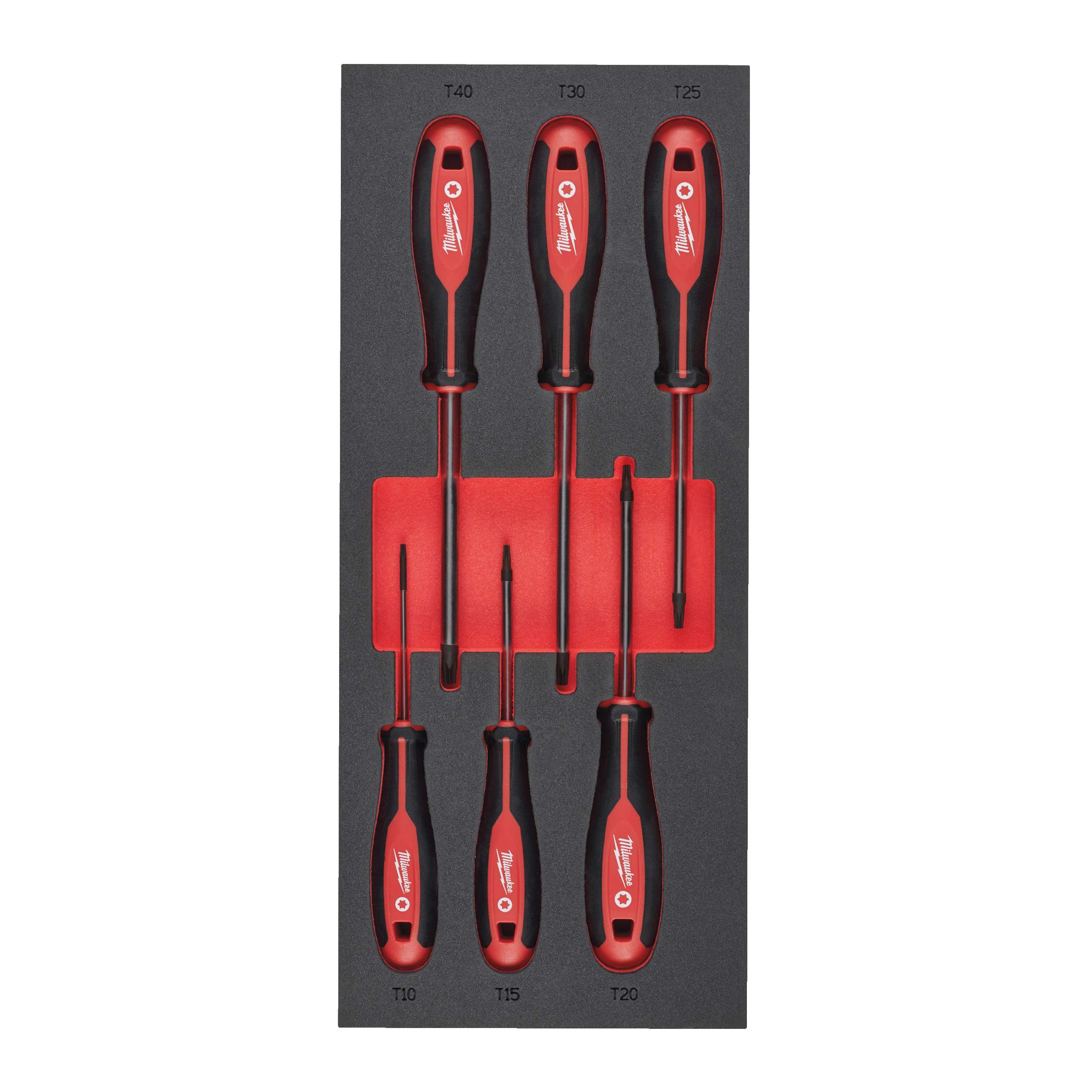 1/3 espuma con 6 destornilladores Torx-2